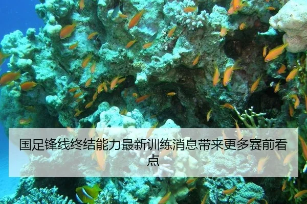 guo-zu-feng-xian-zhong-jie-neng-li-zui-xin-xun-lian-xiao-xi-dai-lai-geng-duo-sai-qian-kan-dian-1-469.jpg